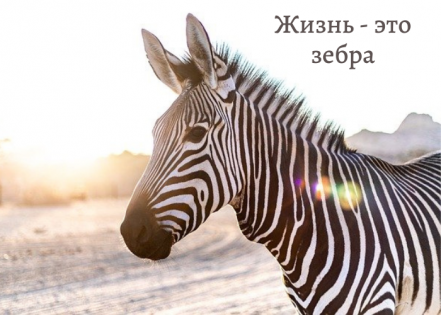 Жизнь, она как зебра - полосатая, сначала черная полоса, потом белая